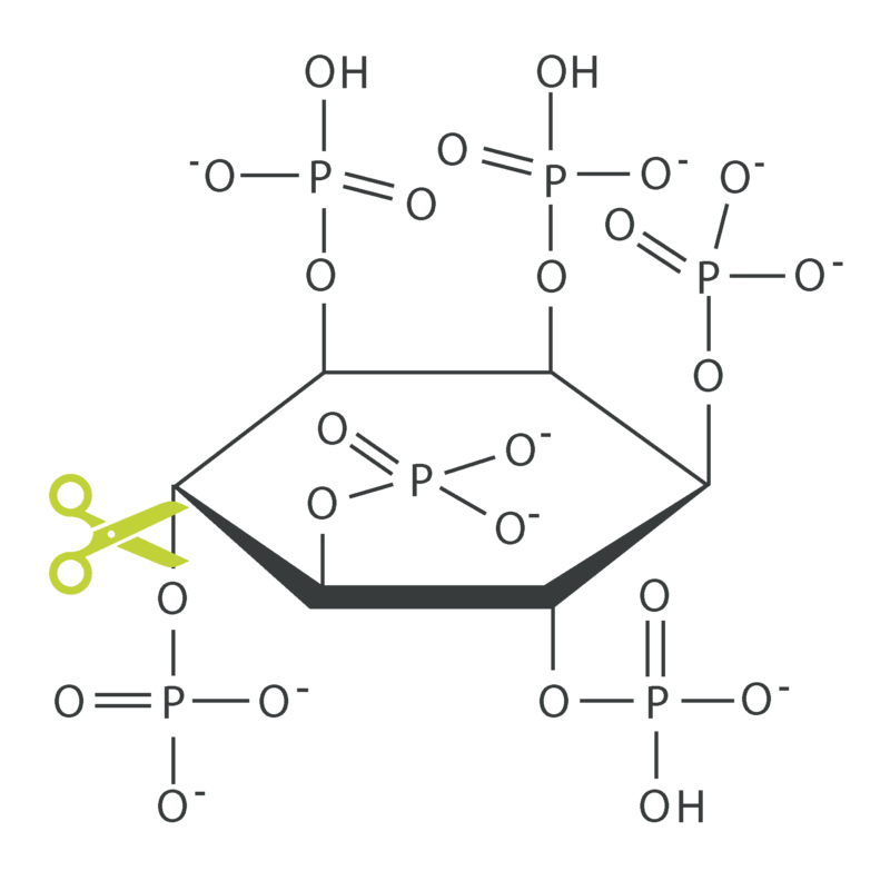 ENZP-phytate-scissor