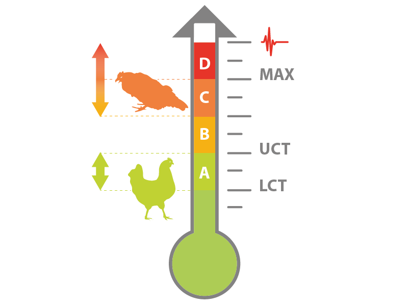 thermometer-heat-stress-CN