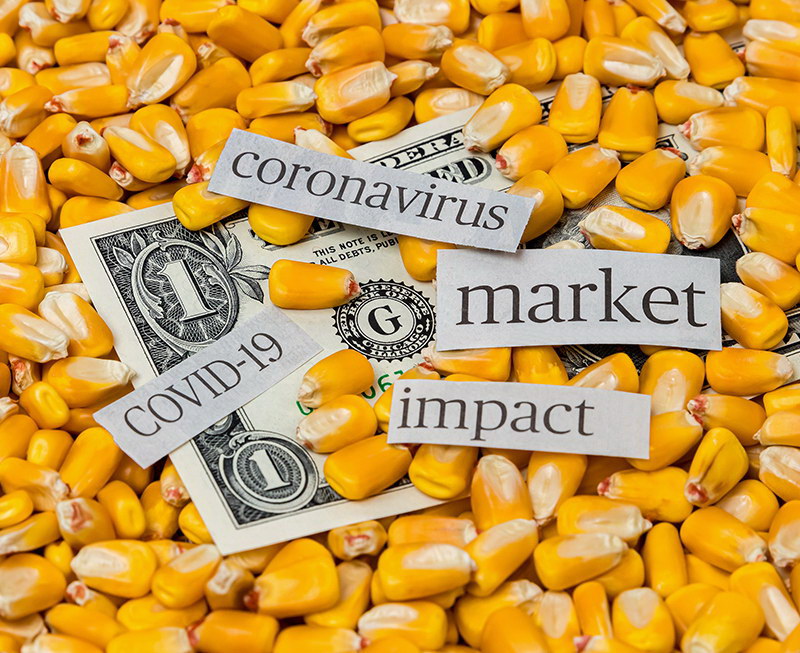 market impact corona virus corn
