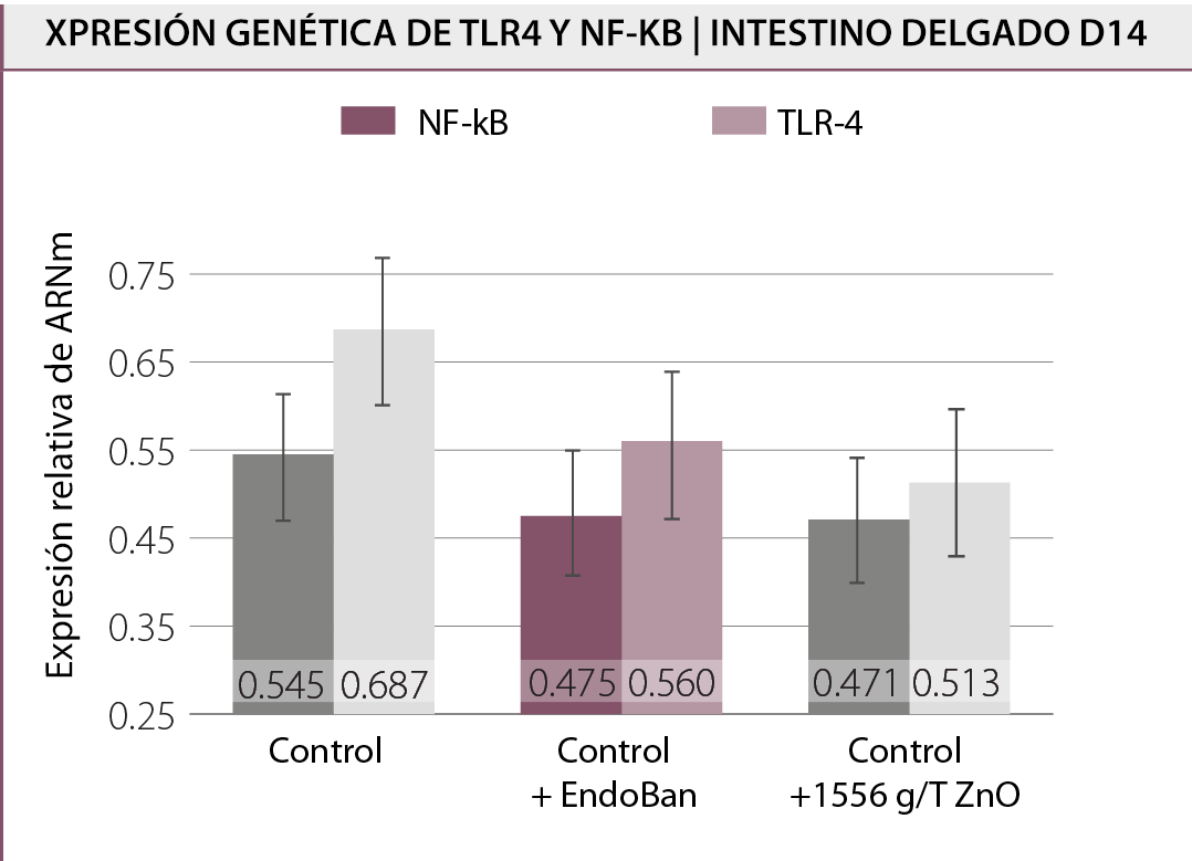 zinc-oxide-weaning-piglets-IMG-GEN-GRA-endoban-zno-gene-expression-small-intestine-trial-piglets-1078x779px ES